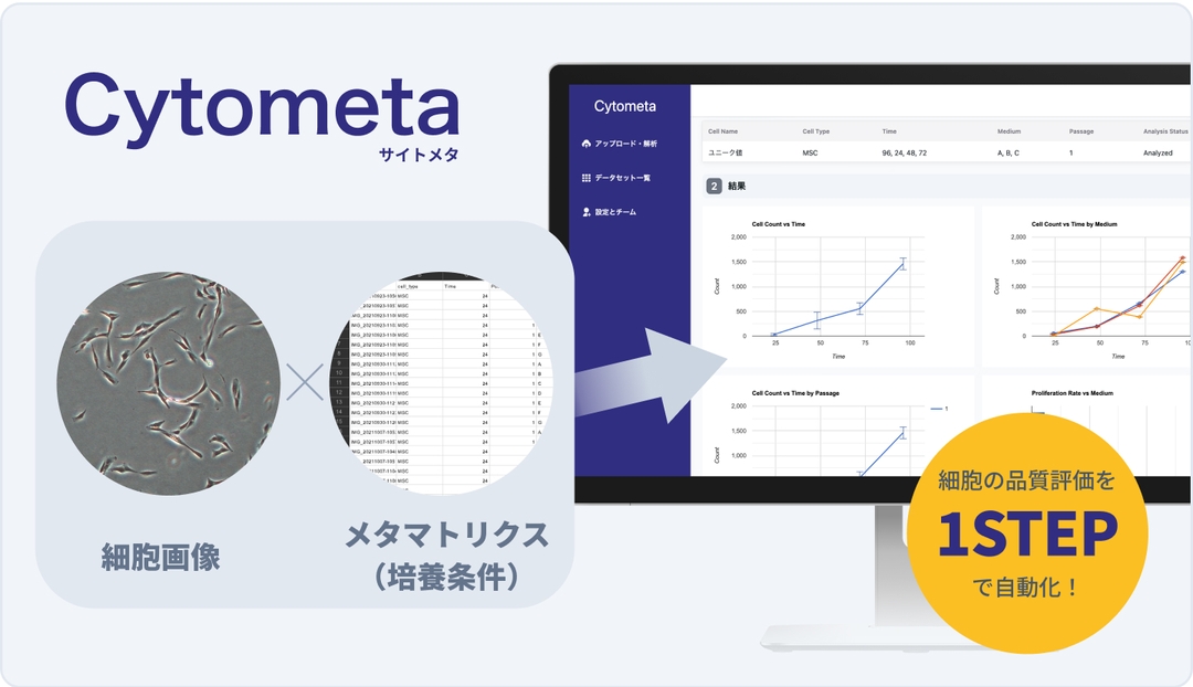 What’s cytometa image