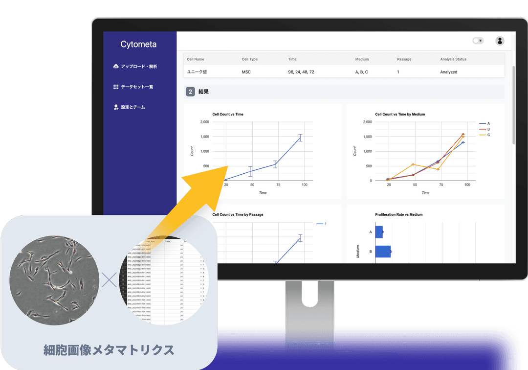  細胞画像とメタマトリクスをアップロードすると品質評価レポートが生成される画像