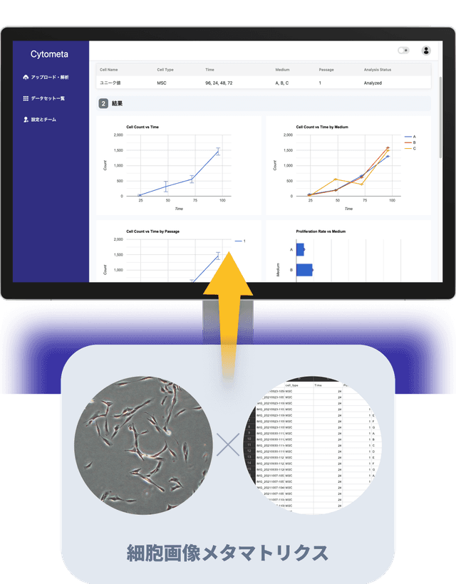  細胞画像とメタマトリクスをアップロードすると品質評価レポートが生成される画像