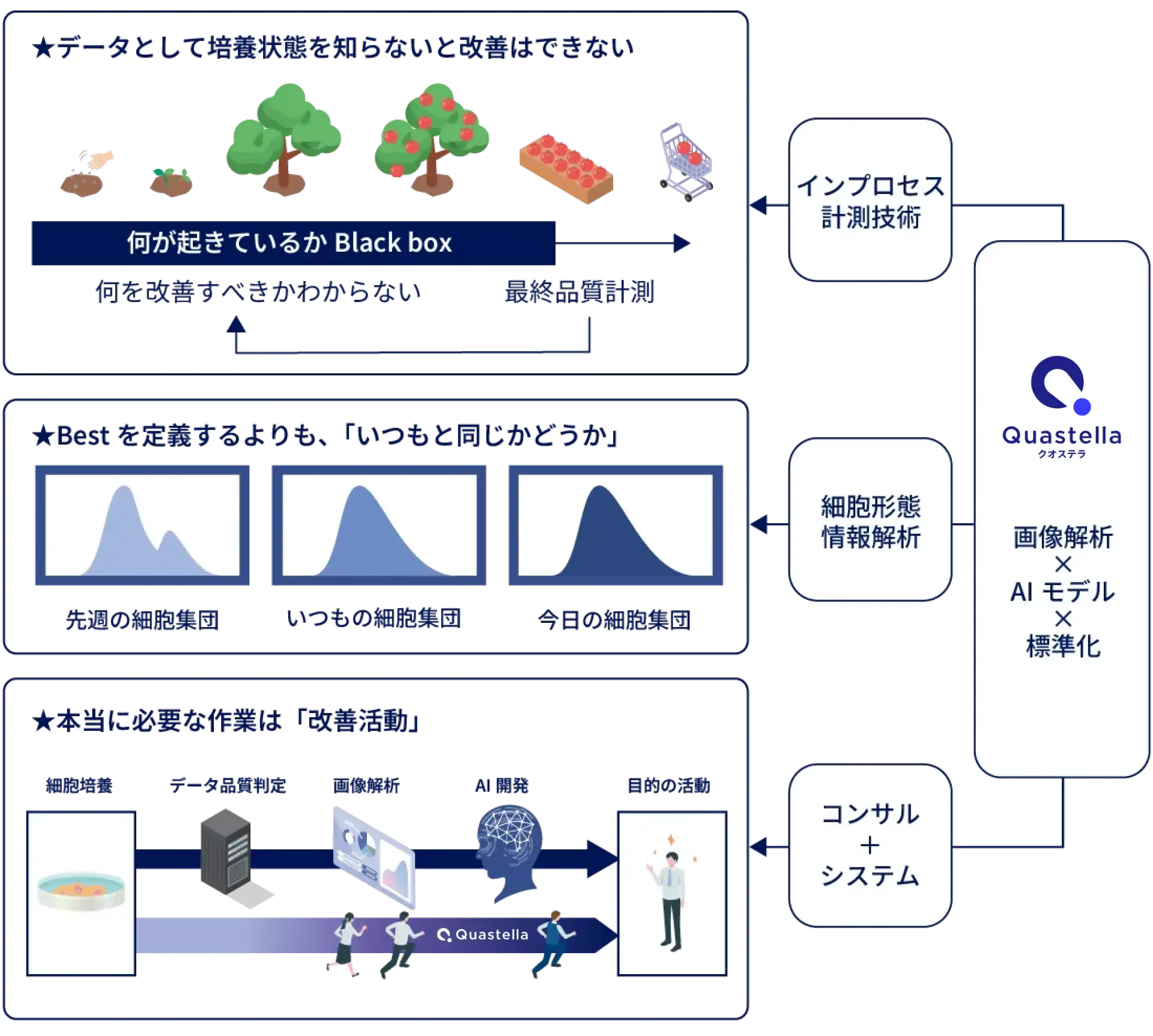 Quastellaが考える細胞培養DX