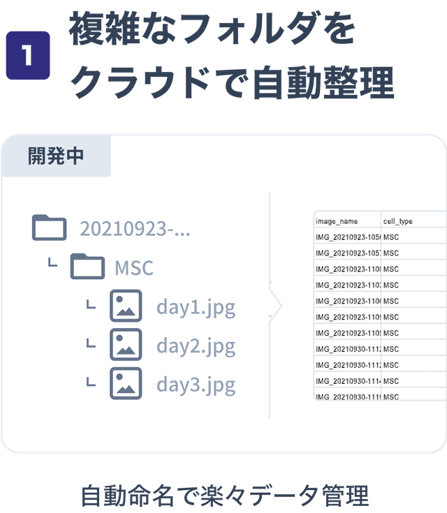 アップロードしたフォルダを自動で整理し、画像を適切に命名してくれる