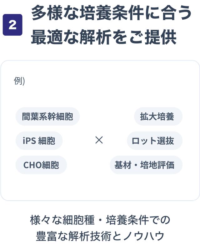 間葉系幹細胞、iPS細胞、CHO細胞、拡大培養、ロット選抜、基材や培地評価に対応