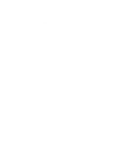 Quastella Inc.
